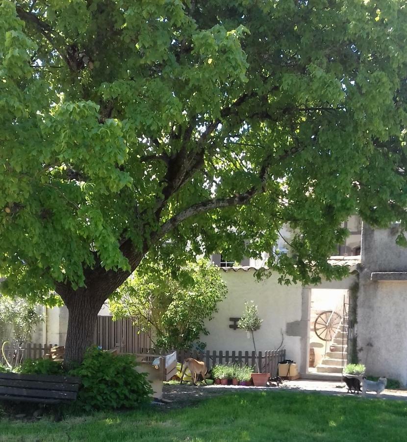 Le Patio Aux Hirondelles Villa Lagorce  Exteriör bild